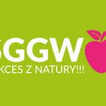 BEZPŁATNY KURS Z WYKORZYSTANIA SYSTEMÓW TYPU "GIEŁDY TRANSPORTOWE" – OSTATNIA REKRUTACJA!
